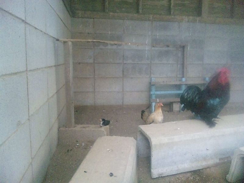 遅ればせながら